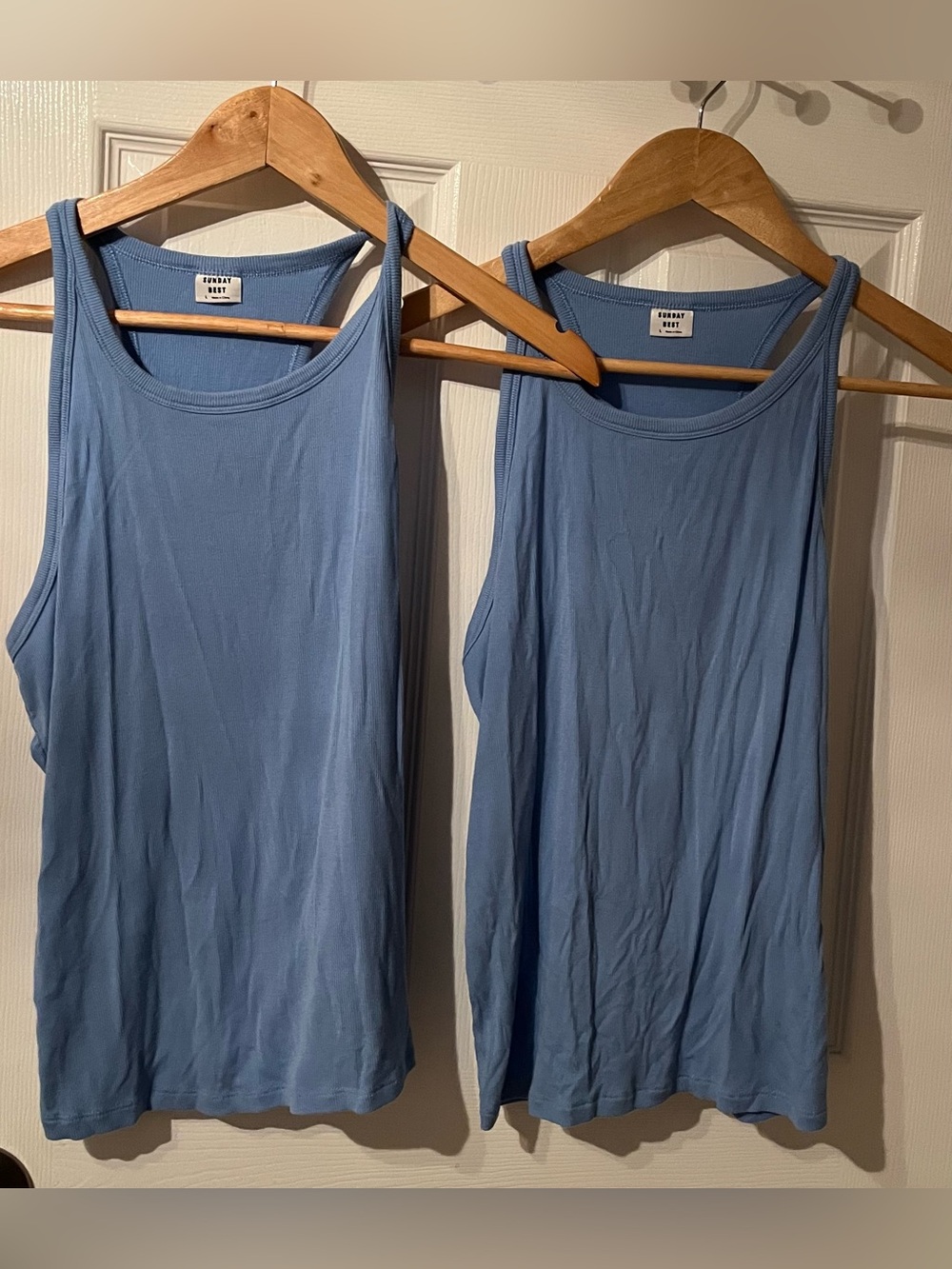 Aritzia Sunday Best Ribbed Tank Top Bundle Blue Size L (2)